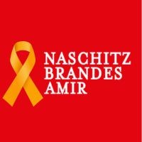 Naschitz, Brandes, Amir & Co. logo - Similar company to Suitup.Co.Il - Innovative Legal Recruitment