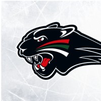 Augsburger Panther logo - Similar company to Innoit Werbeagentur