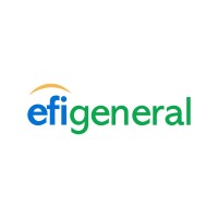 Excellent Fortune General Insurance logo - Similar company to Efd Group