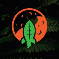 Mars Engenharia E Meio Ambiente