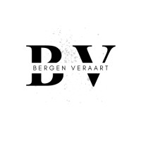 B-Veraart Consulting logo - Similar company to Syncnodeai Pvt. Ltd.