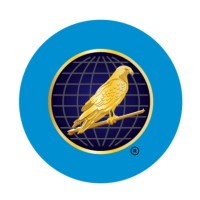 Hawkish Consulting logo - Similar company to Visualise Solutions