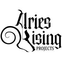 Aries Rising Projects logo - Similar company to Offshore Agency