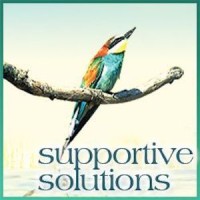 Supportive Solutions logo - Similar company to Guffly