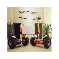 EcoRanger International Trading Co. Limited logo - Similar company to Wadah Foundation