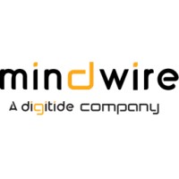 Mindwire Systems Ltd logo - Similar company to Brainhunter Systems Ltd
