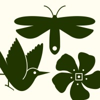 The Kent Collection logo - Similar company to Wanteddesign