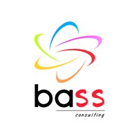 BASS CONSULTING logo - Similar company to Indépendant