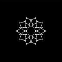 IRISSTAR Technologies logo - Similar company to Beekeeper Tech