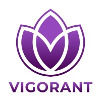Vigorant logo - Similar company to Devsaar It Solutions