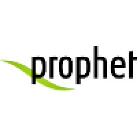 Prophet Consulting Inc. logo - Similar company to terminus, LLC