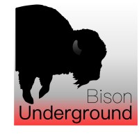 Bison Underground logo - Similar company to Kc Proto