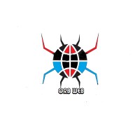 Orb Web logo - Similar company to Lunaboost Dijital
