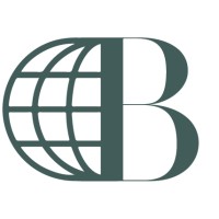 Borderless Software Group logo - Similar company to B&A Software As