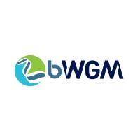 bWGM logo - Similar company to Wgm Engineering Ltd