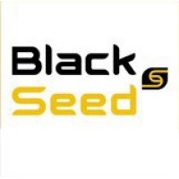 BlackSeed logo - Similar company to Aga Architects