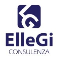 ElleGi Consulenza S.p.A. logo - Similar company to Microspace