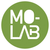 Molab Thinkers logo - Similar company to Fanfan