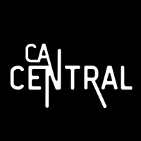 CA Central logo - Similar company to Resonant Infosolutions