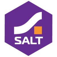 Salt Group logo - Similar company to Salt Partners