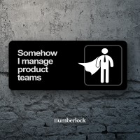 Somehow I Manage Product Teams - Productleaders.fm logo - Similar company to Beyond Coding Podcast