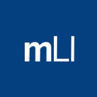 MasterLine Italy logo - Similar company to Instantanea
