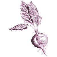 Deep Roots Market logo - Similar company to Deep Roots Experience