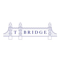 T Bridge Venture Partners Ltd logo - Similar company to Zenith Guild Group Ltd