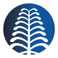 Aya Solutions logo - Similar company to Aya Solutions