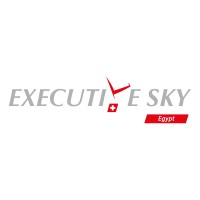Executive Sky Egypt LTD (Software Development) logo - Similar company to Flavorte Marketing & Software Development