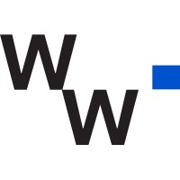 Wise Wingz logo - Similar company to Dominant Success