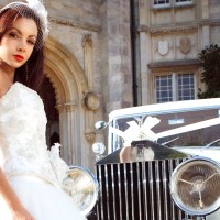 Premier Carriage Wedding Cars logo - Similar company to Poptop Marketing
