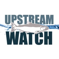 Upstream Watch