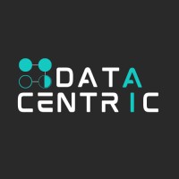 Data Centric logo - Similar company to Brainqub3