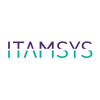 ITAMSYS logo - Similar company to S