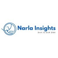 Narla Insights logo - Similar company to Studio Fintan