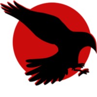 Rayvensoft Ventures, LLC logo - Similar company to Productized Education