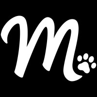 Misty Media logo - Similar company to Apl Nexted