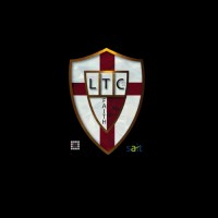 Literally Tax Consulting (Pty) Ltd. logo - Similar company to Computer Skills