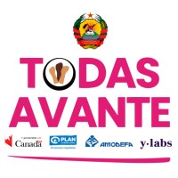 Todas Avante logo - Similar company to Green Consultoria E Estudos, Ei