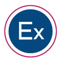 ExCEL Youth Mentoring Institute