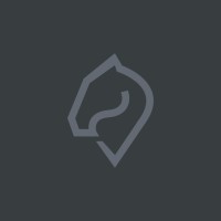 Schachmatt Vier logo - Similar company to Siblings