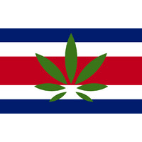 Costa Rica Cannabis/Hemp Professional Network logo - Similar company to Cem-Tech 3Dcp
