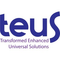Teus Teknoloji logo - Similar company to Eray