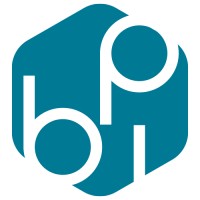 BPI Partners logo - Similar company to Scaleware