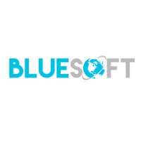Bluesoft Design logo - Similar company to Digital Client Experience Llc