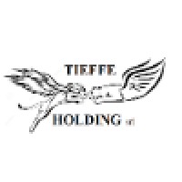 Tieffe Holding Company Srl