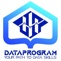 Data Program logo - Similar company to Dabasmart
