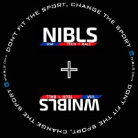 National Ice Ball League Sports (NIBLS) logo - Similar company to Orbimatrix