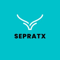 SepratX logo - Similar company to Iris Web Technologies
